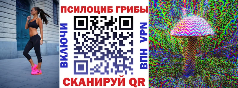 Купить закладки  Хадыженск  Псилоцибиновые грибы Cubensis 