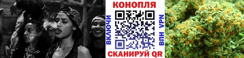 Купить  Хадыженск  Конопля сатива 
